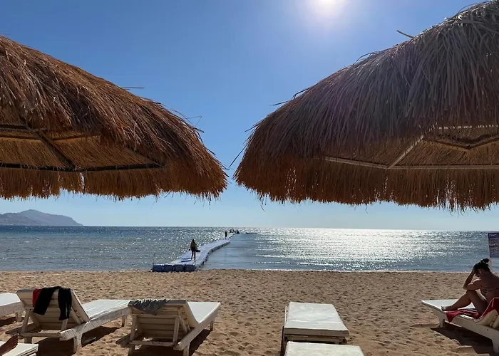 Sunny Beach, New Apartment, Free Beach, Pool, Private Roof Appartement *